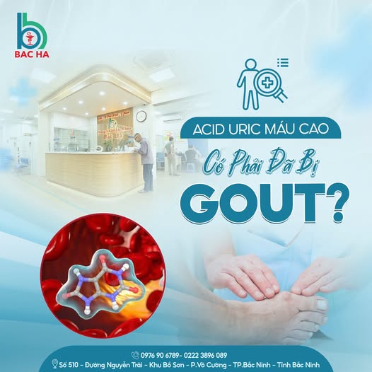 ACID URIC MÁU CAO – CÓ PHẢI ĐÃ BỊ GOUT?
